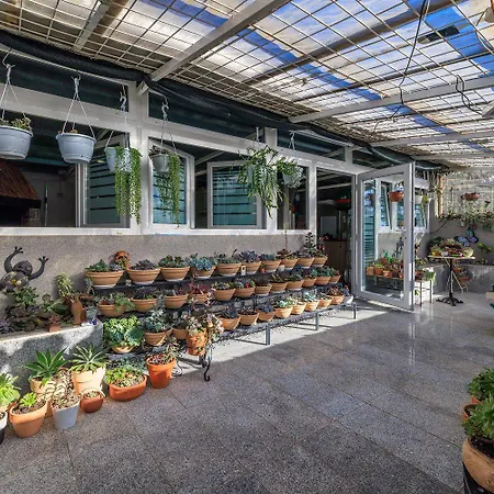 Hundefreundliches Mit Grillbereich, Privatparkplatz, Wifi In Ruhiger Lage Apartment